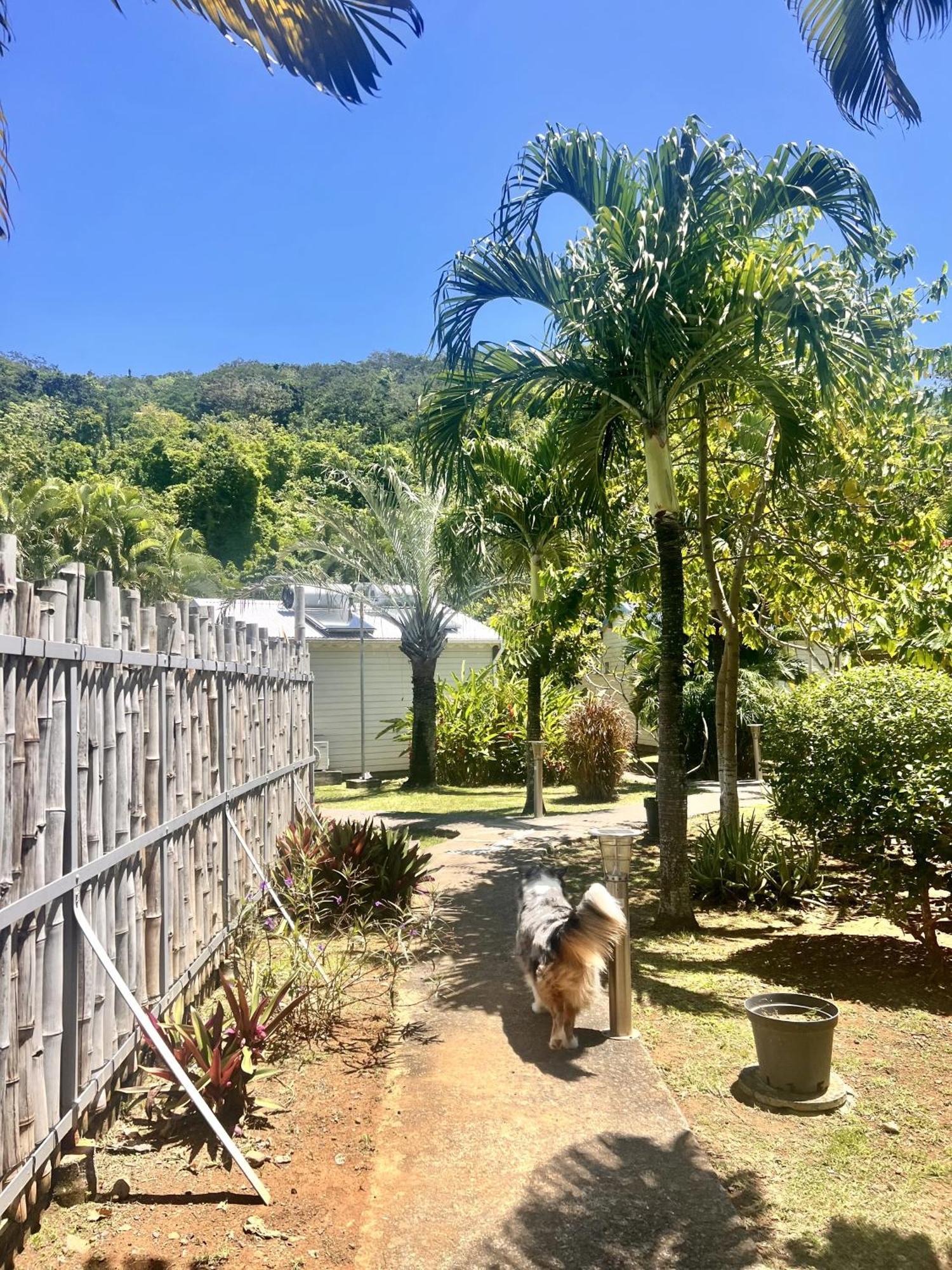 Baz Creole Villa Deshaies Bagian luar foto